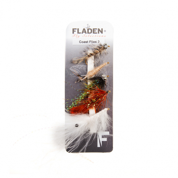 Fladen Maxximus Flies 5-pack Coast 2 in the group Lures / Flies / Fly Kits at Sportfiskeprylar.se (34-2003)