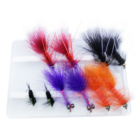 Fly Collection Put & Take 10-Pack in the group Lures / Flies / Fly Kits at Sportfiskeprylar.se (FL99104)