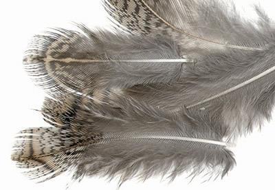 PARTRIDGE ENGLISH GREY NECK GREY HACKLE in the group Hooks & Terminal Tackle / Fly Tying / Fly Tying Material / Feathers & Capes / Hackle at Sportfiskeprylar.se (V5111)