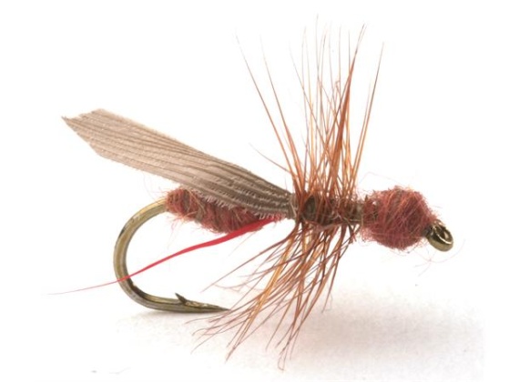 Guideline Flying Ant Cinnamon # 12 in the group Lures / Flies / Dry Flies at Sportfiskeprylar.se (101216GL)
