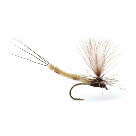 Danica Dun - 10 in the group Lures / Flies / Dry Flies at Sportfiskeprylar.se (101486GL)