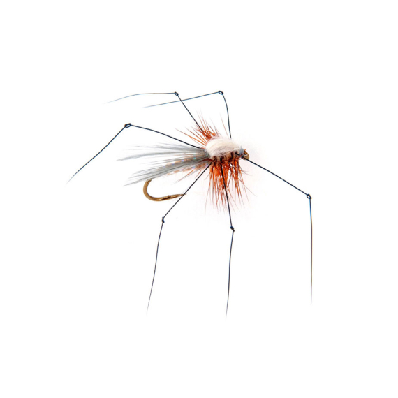 Guideline Faux Mini Daddy #12 in the group Lures / Flies / Dry Flies at Sportfiskeprylar.se (105634GL)