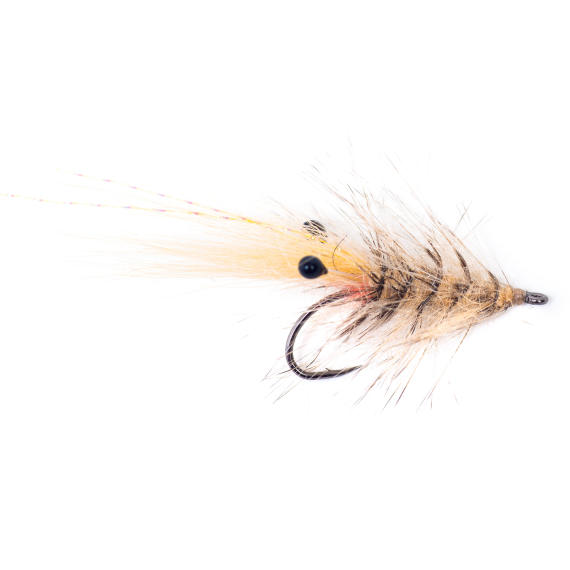 Guideline Hackle Shrimp #6 in the group Fishing methods / Fly Fishing at Sportfiskeprylar.se (108242GL)