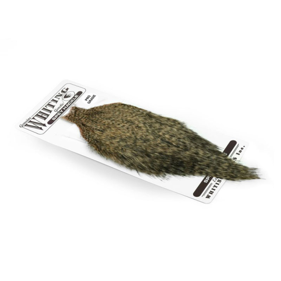 Whiting Spey Hackles Pro Grade Cape - GD/Salmon in the group Hooks & Terminal Tackle / Fly Tying / Fly Tying Material / Feathers & Capes / Capes & Saddles at Sportfiskeprylar.se (65501102)