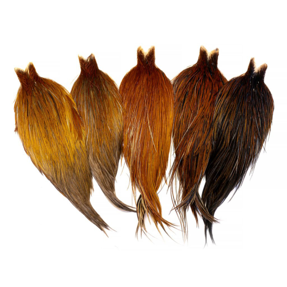 Whiting Heritage Hackle Cape in the group Hooks & Terminal Tackle / Fly Tying / Fly Tying Material / Feathers & Capes / Capes & Saddles at Sportfiskeprylar.se (87801007r)