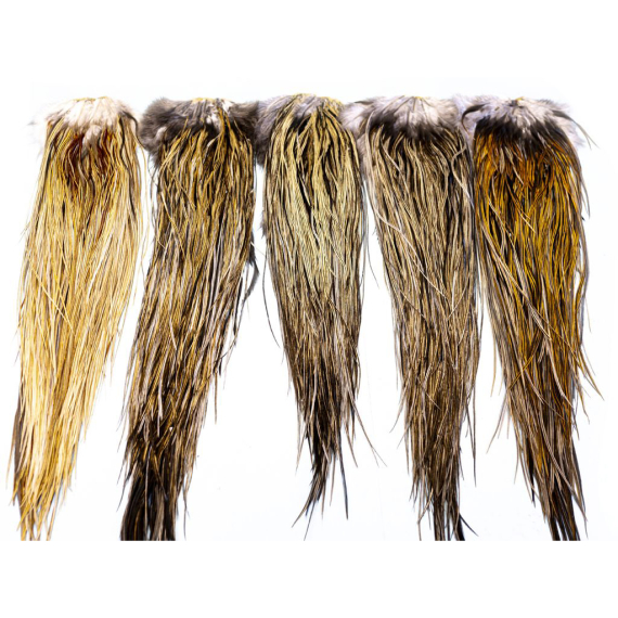 Whiting Heritage Hackle Saddle in the group Hooks & Terminal Tackle / Fly Tying / Fly Tying Material / Feathers & Capes / Capes & Saddles at Sportfiskeprylar.se (87802007r)