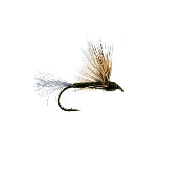 Comparadun BWO in the group Lures / Flies / Dry Flies at Sportfiskeprylar.se (F30-1015-10r)