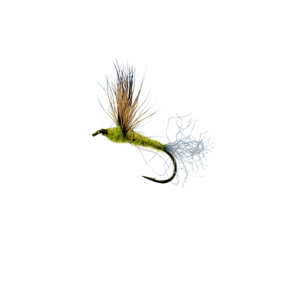 Comparadun Light Olive in the group Lures / Flies / Dry Flies at Sportfiskeprylar.se (F30-1016-10r)