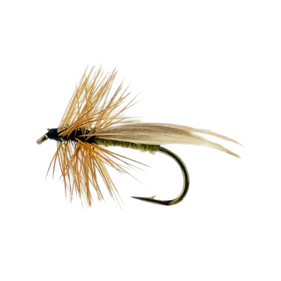 Europa 12 Olive in the group Lures / Flies / Dry Flies at Sportfiskeprylar.se (F30-1044-14r)