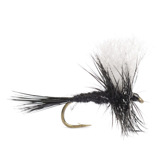 Black Gnat # 14 in the group Lures / Flies / Dry Flies at Sportfiskeprylar.se (HF0087-14)