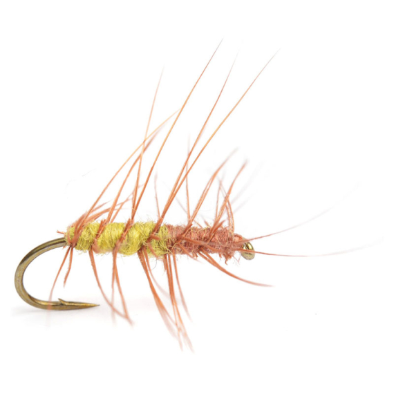 Superpuppa Olive/Rust size 12 in the group Lures / Flies / Dry Flies at Sportfiskeprylar.se (HF0143-12)