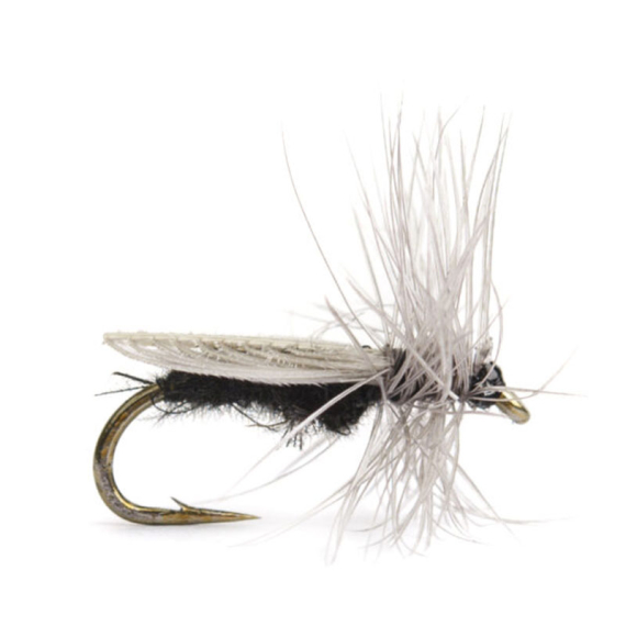 Diptera size 14 in the group Lures / Flies / Dry Flies at Sportfiskeprylar.se (HF1123-14)