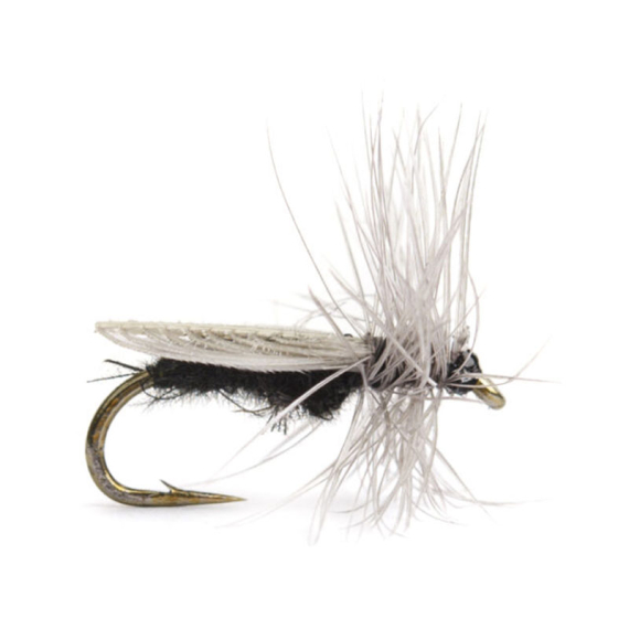 Diptera size 18 in the group Lures / Flies / Dry Flies at Sportfiskeprylar.se (HF1123-18)