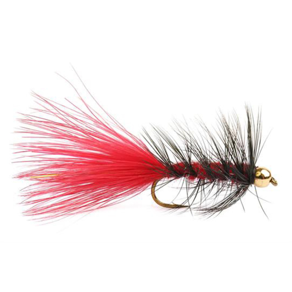 Wolly Bugger Gold Head Red Black size 8 in the group Lures / Flies / Streamers at Sportfiskeprylar.se (HF1231-8)