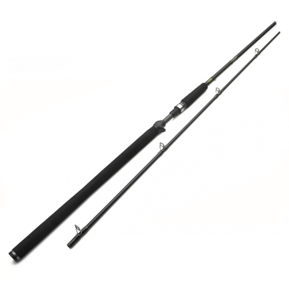 Westin W3 Powercast-T 8\'3\'\'/251cm XXH 40-130g 2pcs Casting in the group Rods / Casting Rods at Sportfiskeprylar.se (W303-0832-XXH)