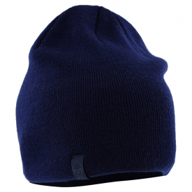 Patagonia - Beanie Hat Classic Fitz Roy: Andes Blue