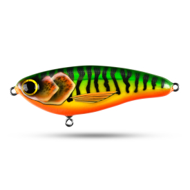 Firetiger Mackerel