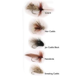 Pool 12 Flies for Rainbow Trout