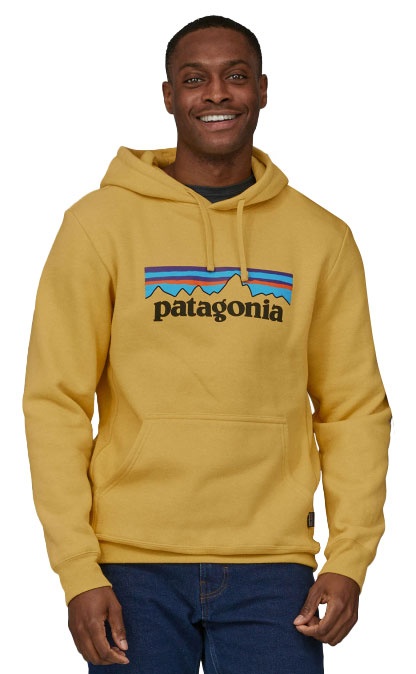 Patagonia p6 2024 logo hoodie