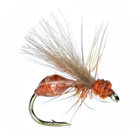 Umpqua RS Glue Ant Rusty Brown #16