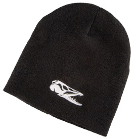 IFISH Beanie