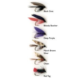 Wet Fly 1 6-pack