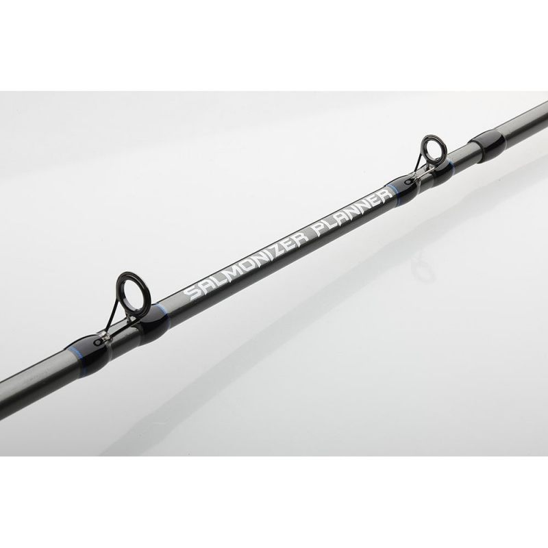 Daiwa Dipsy HeavyアクションAccudepth Trollingロッド(2 Piece)